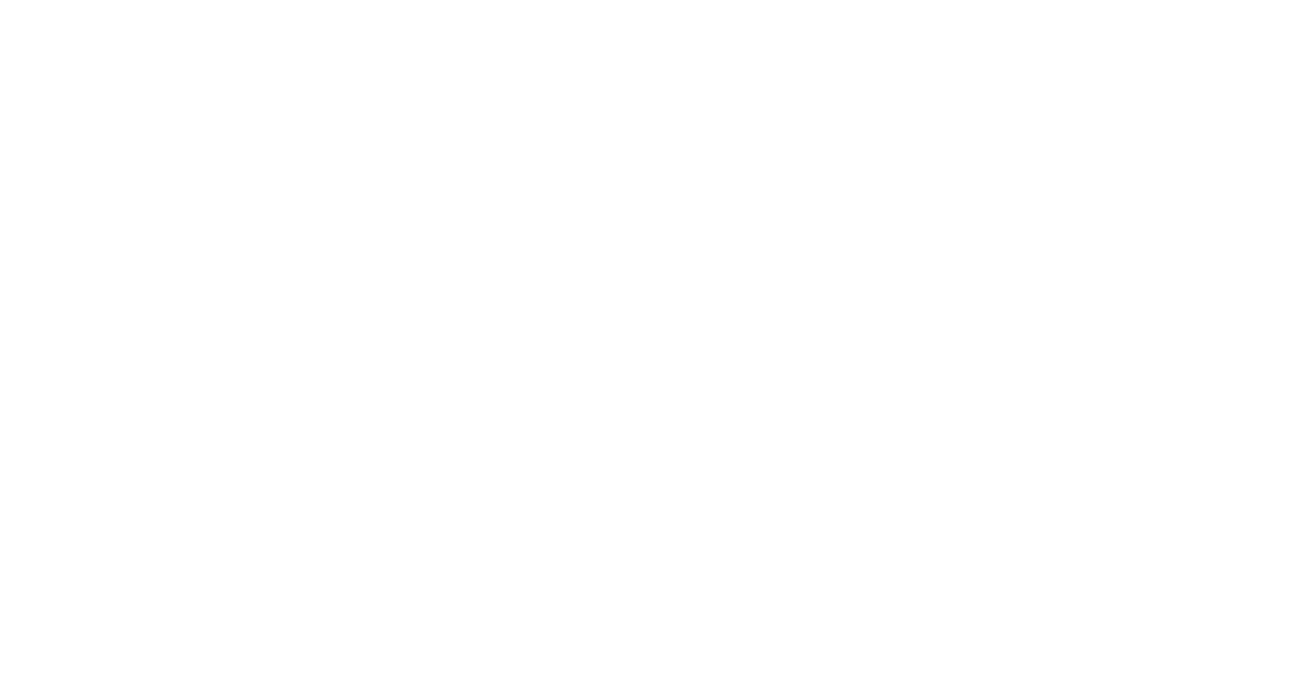 momentum blanc
